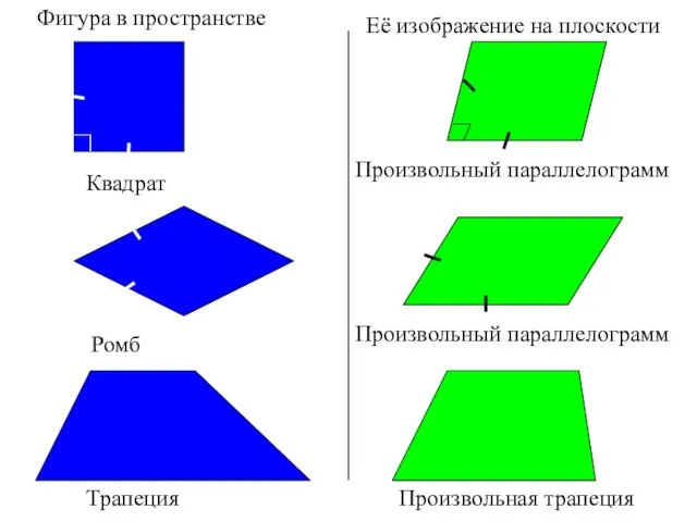 Фигура в пространстве Её изображение на плоскости Квадрат Произвольный параллелограмм Трапеция Произвольная трапеция Произвольный параллелограмм Ромб