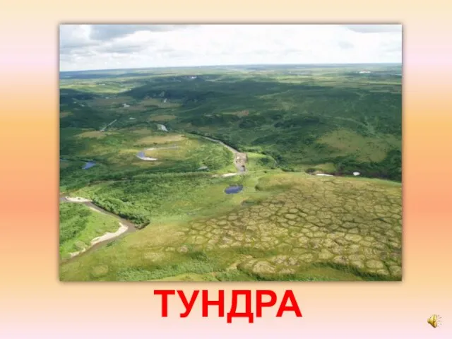 ТУНДРА