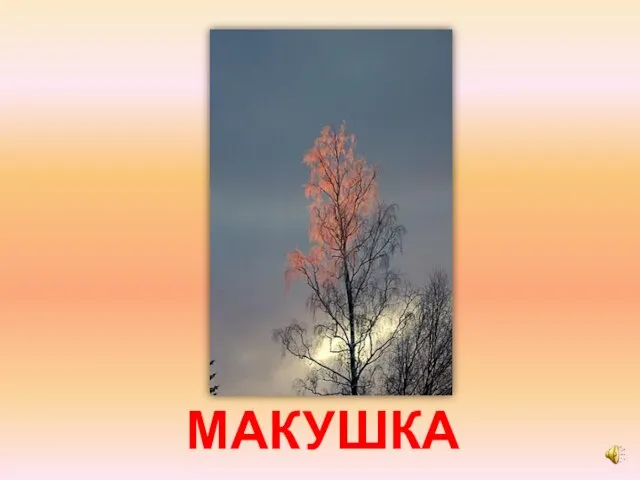 МАКУШКА