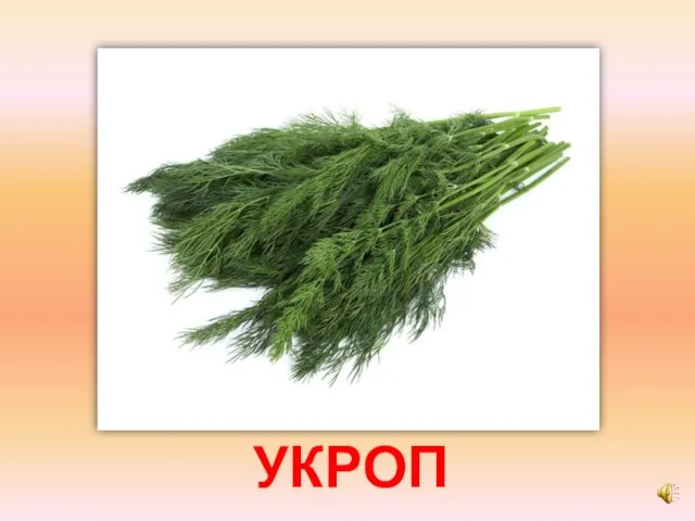 УКРОП