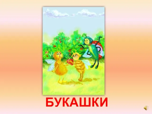 БУКАШКИ