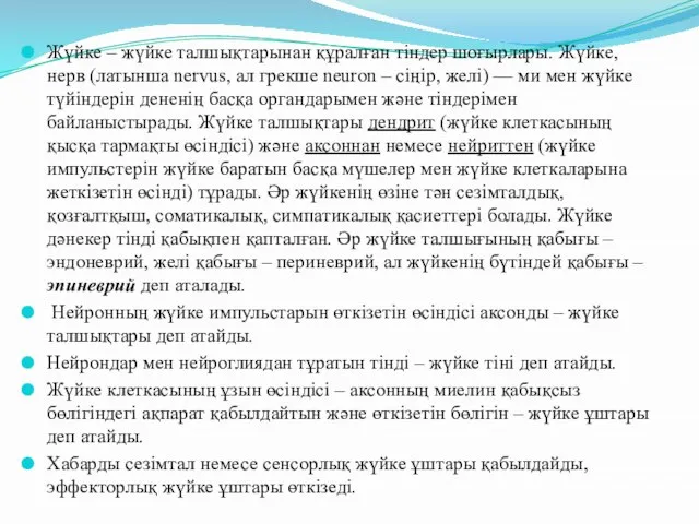 Жүйке – жүйке талшықтарынан құралған тіндер шоғырлары. Жүйке, нерв (латынша nervus,