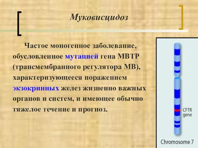 Муковисцидоз Частое моногенное заболевание, обусловленное мутацией гена МВТР (трансмембранного регулятора МВ),