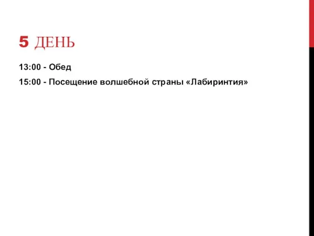 5 ДЕНЬ 13:00 - Обед 15:00 - Посещение волшебной страны «Лабиринтия»