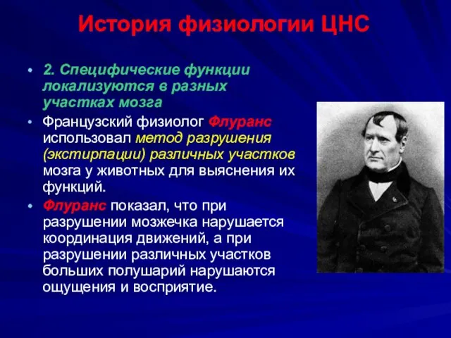 История физиологии ЦНС 2. Специфические функции локализуются в разных участках мозга