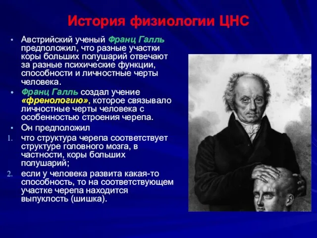 История физиологии ЦНС Австрийский ученый Франц Галль предположил, что разные участки