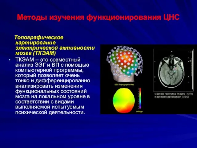 Методы изучения функционирования ЦНС Топографическое картирование электрической активности мозга (ТКЭАМ) ТКЭАМ