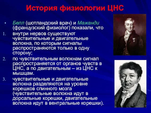 История физиологии ЦНС Белл (шотландский врач) и Мажанди (французский физиолог) показали,