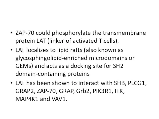 ZAP-70 could phosphorylate the transmembrane protein LAT (linker of activated T