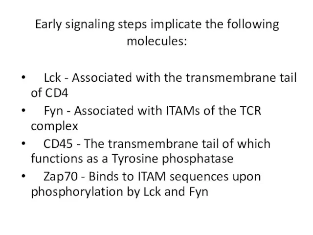 Early signaling steps implicate the following molecules: Lck - Associated with