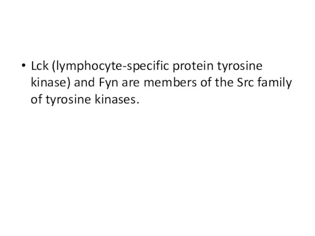 Lck (lymphocyte-specific protein tyrosine kinase) and Fyn are members of the Src family of tyrosine kinases.