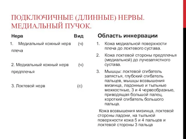 ПОДКЛЮЧИЧНЫЕ (ДЛИННЫЕ) НЕРВЫ. МЕДИАЛЬНЫЙ ПУЧОК. Нерв Вид Медиальный кожный нерв (ч)