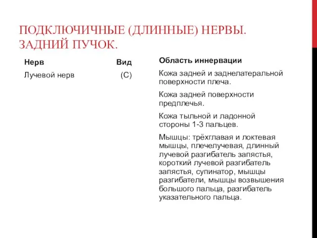 ПОДКЛЮЧИЧНЫЕ (ДЛИННЫЕ) НЕРВЫ. ЗАДНИЙ ПУЧОК. Нерв Вид Лучевой нерв (С) Область