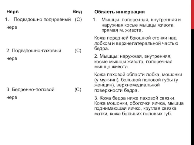 Нерв Вид Подвздошно подчревный (С) нерв 2. Подвздошно-паховый (С) нерв 3.