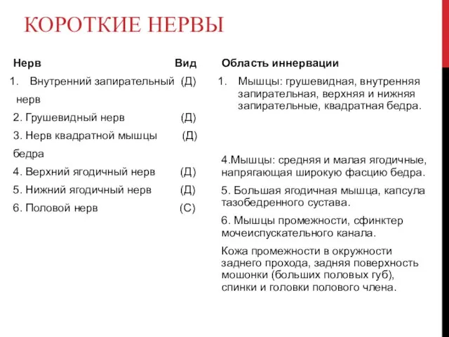 КОРОТКИЕ НЕРВЫ Нерв Вид Внутренний запирательный (Д) нерв 2. Грушевидный нерв