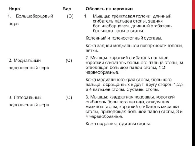 Нерв Вид Большеберцовый (С) нерв 2. Медиальный (С) подошвенный нерв 3.