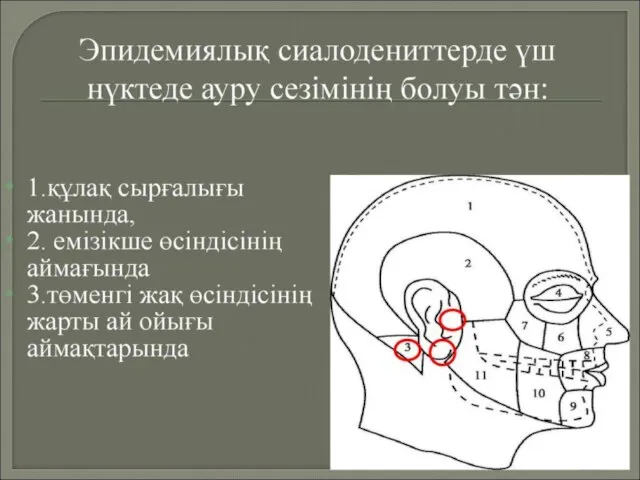 Бұл рөл медициналық сақтандыру қорларының жұмыс істеунің қағидалық ерекшеліктеріне негізделген: қалыптастырудың