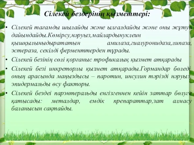 Сілекей бездерінің қызметтері: Сілекей тағамды шылайды және ылғалдайды және оны жұтуа