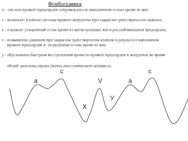 Флебограмма а – систола правого предсердия сопровождается замедлением оттока крови из