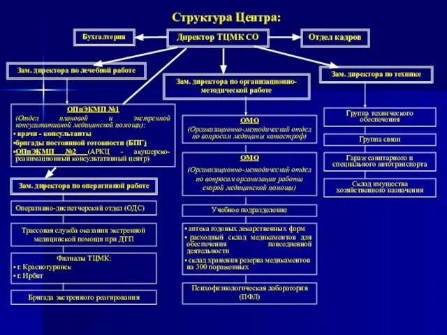 Структура Центра: Директор ТЦМК СО Отдел кадров Бухгалтерия Зам. директора по