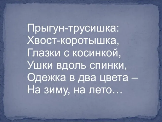 Прыгун-трусишка: Хвост-коротышка, Глазки с косинкой, Ушки вдоль спинки, Одежка в два