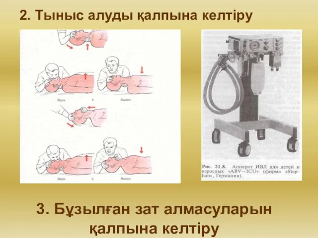 2. Тыныс алуды қалпына келтіру 3. Бұзылған зат алмасуларын қалпына келтіру