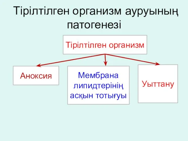 Тірілтілген организм ауруының патогенезі Аноксия Мембрана липидтерінің асқын тотығуы Уыттану Тірілтілген организм