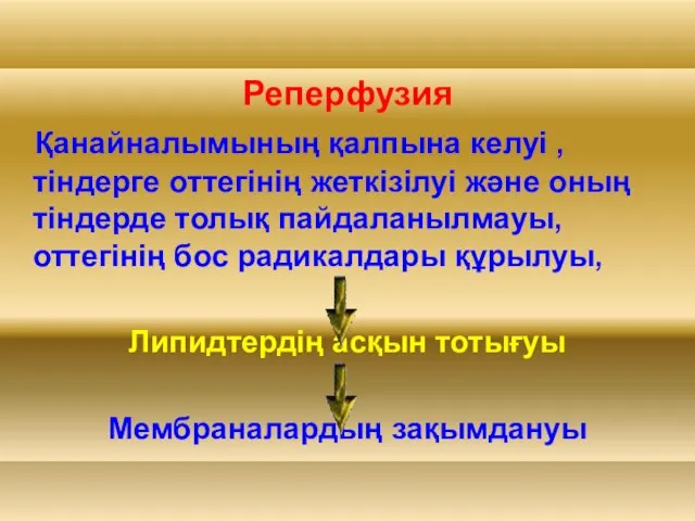 Реперфузия Қанайналымының қалпына келуі , тіндерге оттегінің жеткізілуі және оның тіндерде