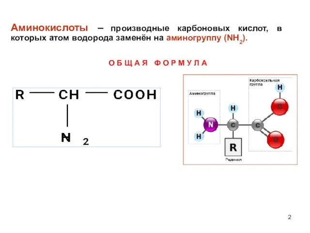 Аминокислоты – производные карбоновых кислот, в которых атом водорода заменён на