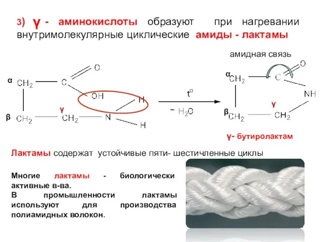 амидная связь α β α β 3) - аминокислоты образуют при