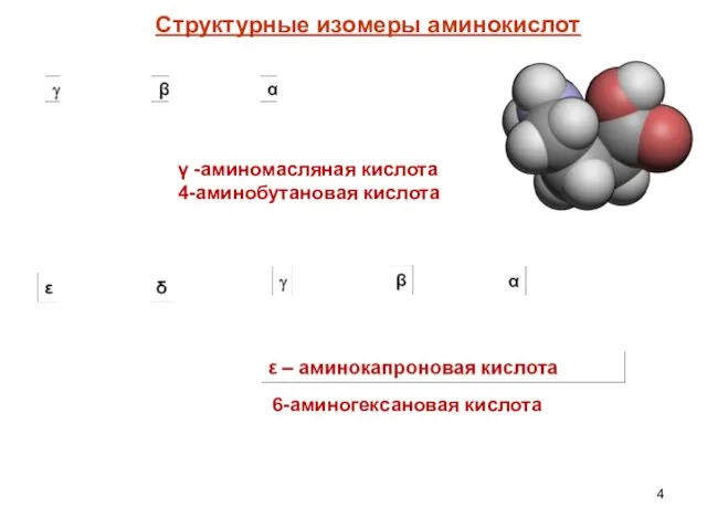 γ -аминомасляная кислота 4-аминобутановая кислота 6-аминогексановая кислота Структурные изомеры аминокислот