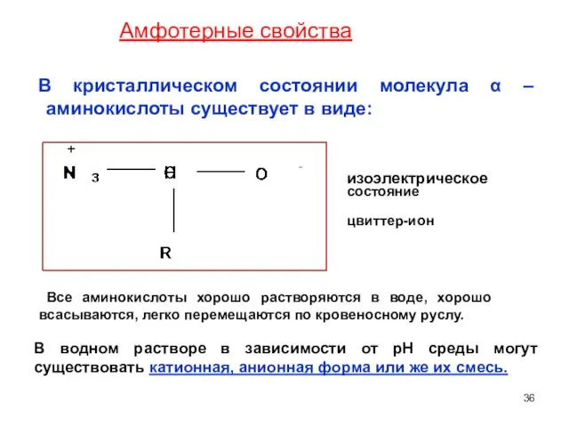 В кристаллическом состоянии молекула α – аминокислоты существует в виде: изоэлектрическое