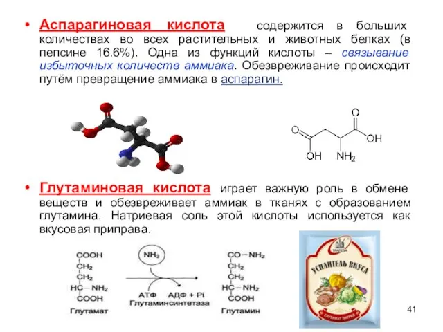 Аспарагиновая кислота содержится в больших количествах во всех растительных и животных