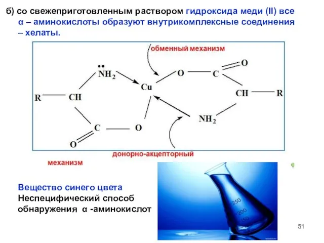 б) со свежеприготовленным раствором гидроксида меди (II) все α – аминокислоты