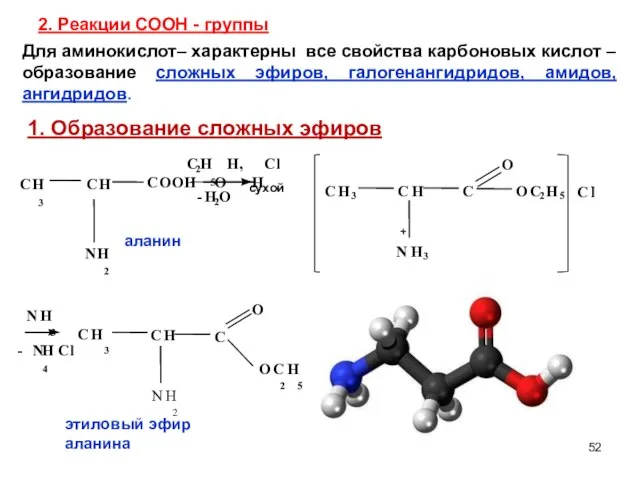 2. Реакции СООН - группы O Для аминокислот– характерны все свойства