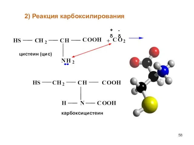 + 2) Реакция карбоксилирования