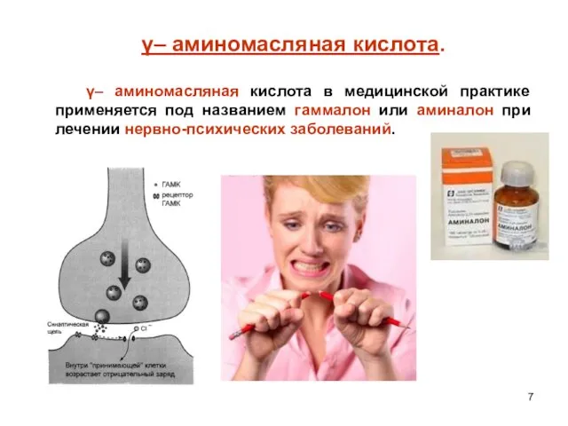 γ– аминомасляная кислота. γ– аминомасляная кислота в медицинской практике применяется под