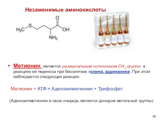 Незаменимые аминокислоты Метионин является универсальным источником СН3 группы в реакциях её