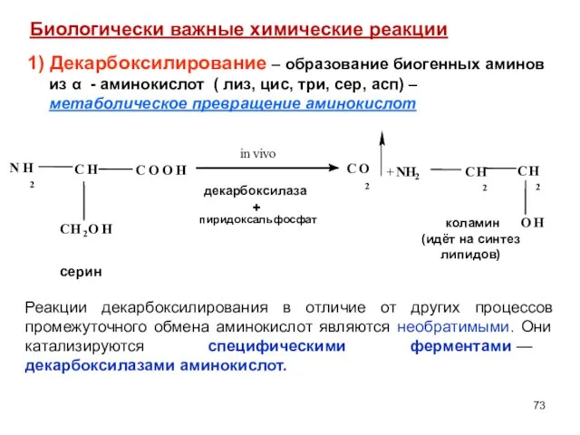 1) Декарбоксилирование – образование биогенных аминов из α - аминокислот (