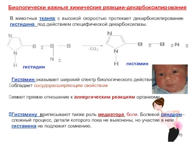 гистамин гистидин Биологически важные химические реакции-декарбоксилирование В животных тканях с высокой