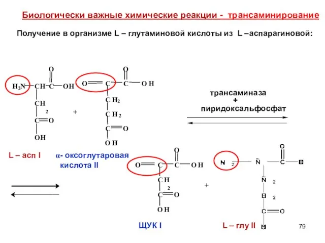 + + - оксоглутаровая кислота II Биологически важные химические реакции -