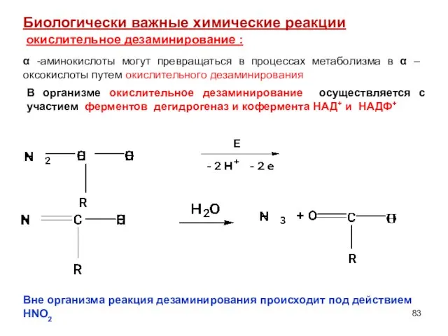 окислительное дезаминирование : Биологически важные химические реакции α -аминокислоты могут превращаться