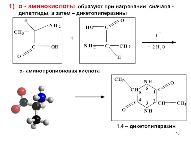 α - аминокислоты образуют при нагревании сначала - дипептиды, а затем