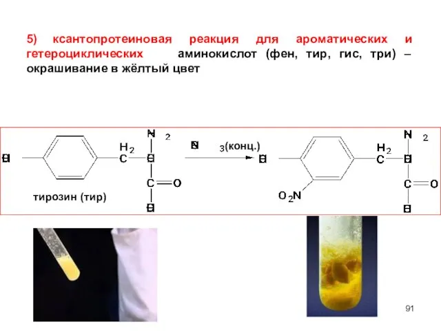 тирозин (тир) (конц.) 5) ксантопротеиновая реакция для ароматических и гетероциклических аминокислот