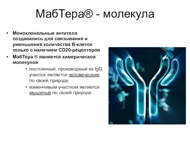 МабТера® - молекула Моноклональные антитела создавались для связывания и уменьшения количества