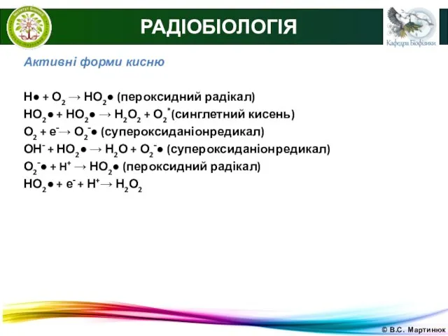 © В.С. Мартинюк РАДІОБІОЛОГІЯ Активні форми кисню Н● + О2 →