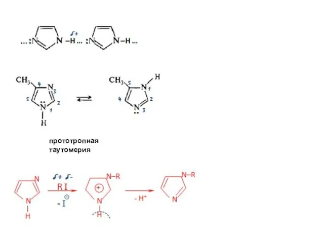 прототропная таутомерия