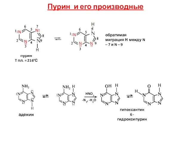 Пурин и его производные пурин T пл. = 216°С обратимая миграция