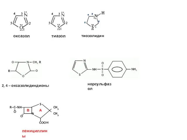 2, 4 – оксазолидиндионы норсульфазол пенициллины тиозолидин