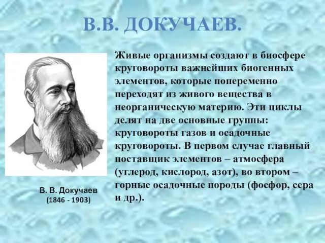 В. В. Докучаев (1846 - 1903) Живые организмы создают в биосфере